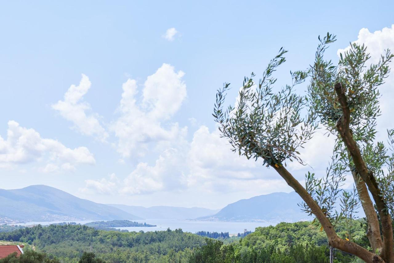 Kotor Rooftop Apartments Екстериор снимка